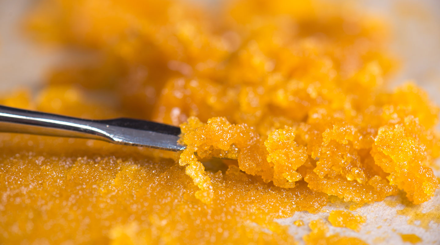 Mains émiettant de la résine de CBD crumble dorée au-dessus d'un vaporisateur portable sur table en bois clair, dans une ambiance bien-être naturelle avec tisane en arrière-plan
